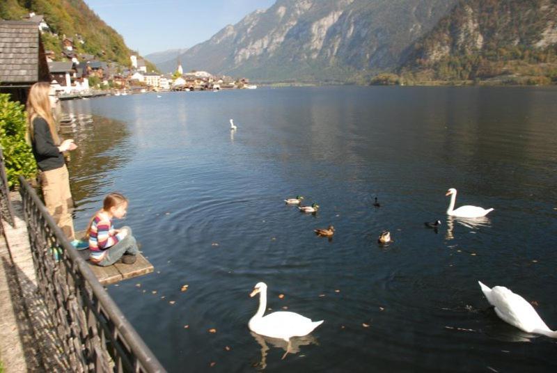 Ferienwohnung Krafttanken Hallstatt Exteriör bild